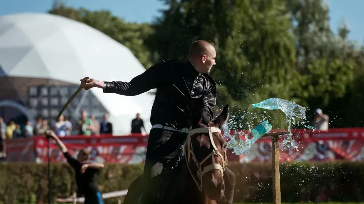 Афиша трансляции Шоу донских жеребцов и цирковые трюки