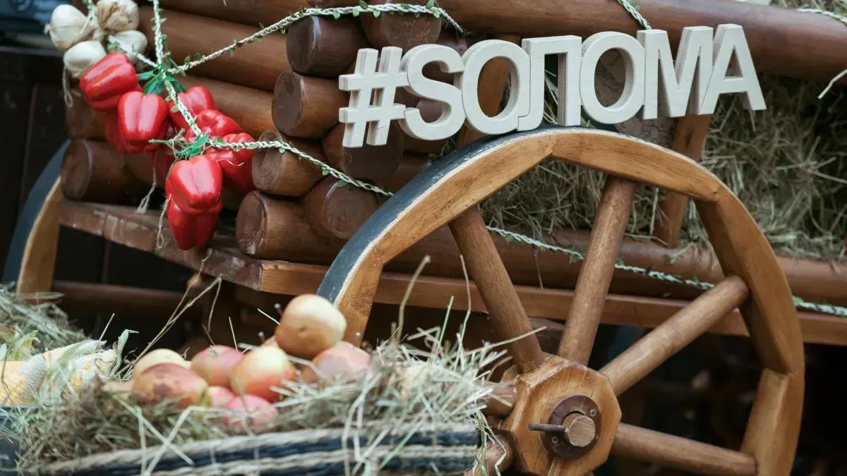 Афиша трансляции Музыкально-поэтический фестиваль "Sолома" в саду "Эрмитаж"