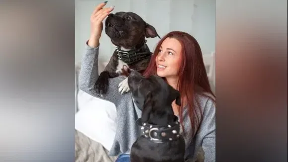 Афиша трансляции Как ухаживать за собакой во время самоизоляции