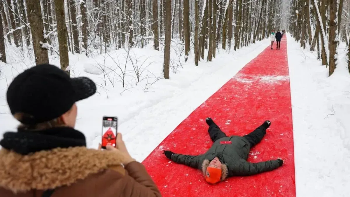 Афиша трансляции Экскурсия по выставке "Белый лес" в парке Малевича