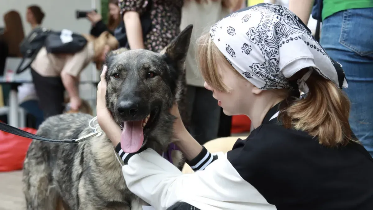 Афиша трансляции Фестиваль "Город неравнодушных"