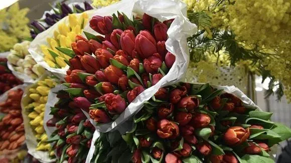 Афиша трансляции Наблюдаем за обстановкой на цветочном рынке перед 8 Марта