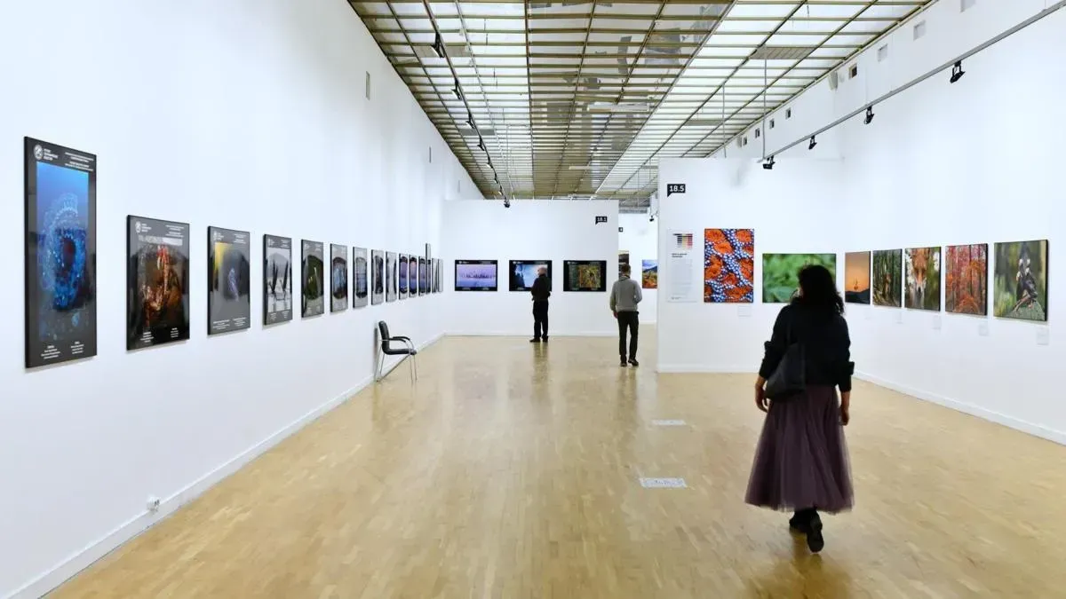 Афиша трансляции Обзор фестиваля "Первозданная Россия"