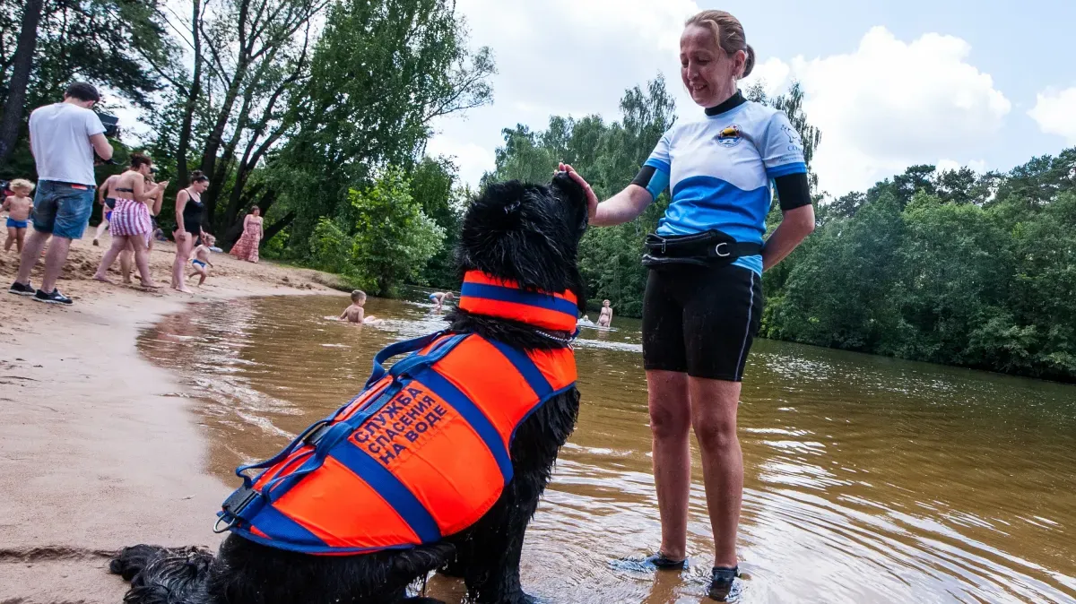 Афиша трансляции Мастер-класс по спасению из водоемов собаками-водолазами