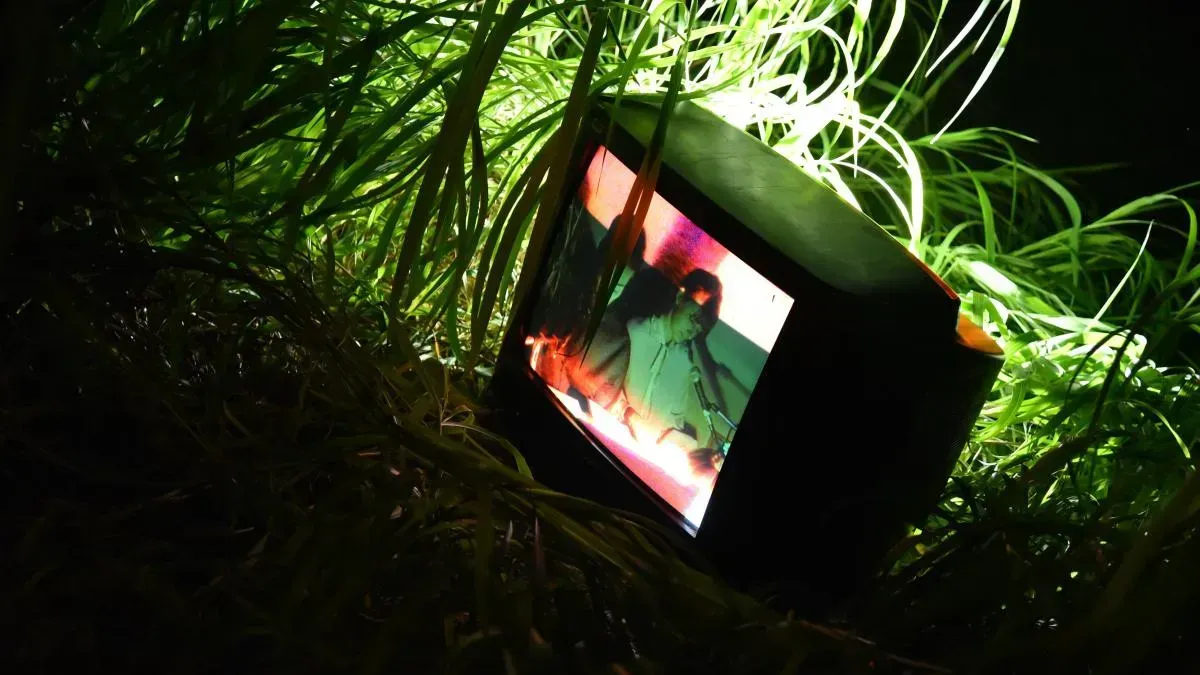 Афиша трансляции Спектакль о муми-троллях в исполнении брусникинцев