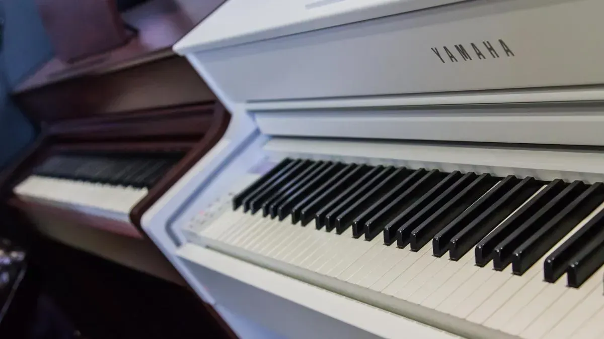 Афиша трансляции МузСалон24: мастер-класс Александра Заранкина из Animal ДжаZ