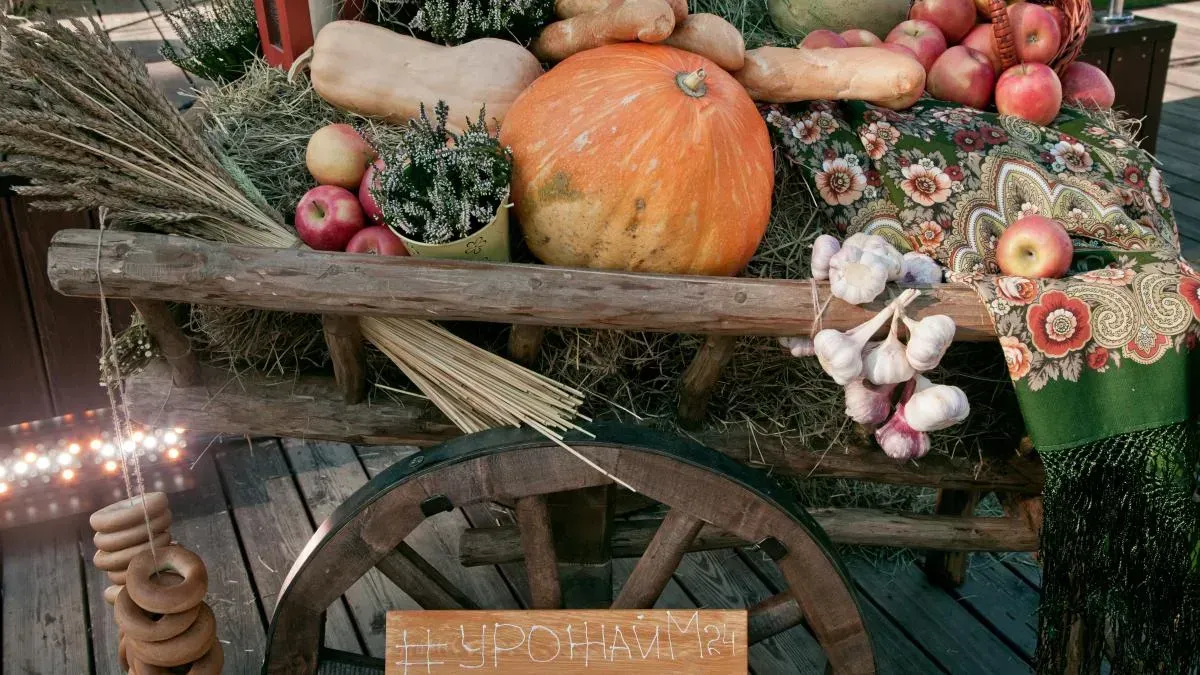 Афиша трансляции Молодые музыканты и поэты  зажигают на фестивале "Sолома"