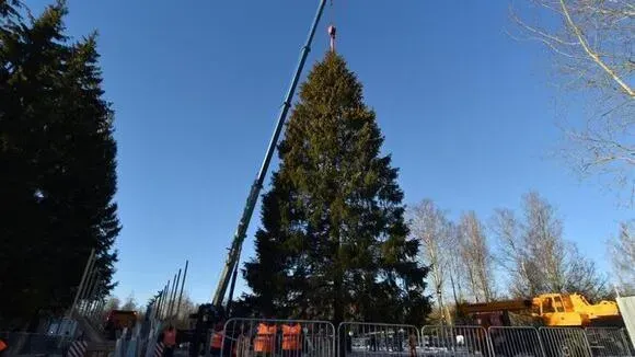 Афиша трансляции Главную новогоднюю елку страны доставили на Соборную площадь