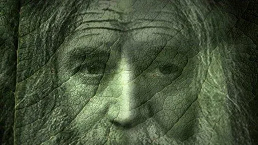 Афиша трансляции Эдуард Бояков и Дмитрий Певцов – о спектакле "Лавр"