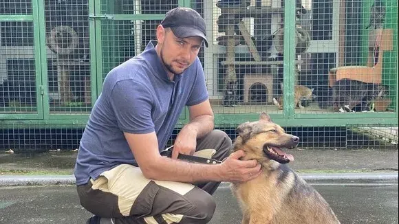 Афиша трансляции Стоит ли брать собаку из приюта и как это сделать