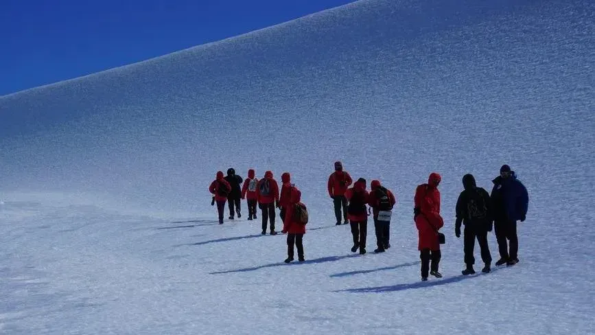Афиша трансляции Антарктида снова на связи!