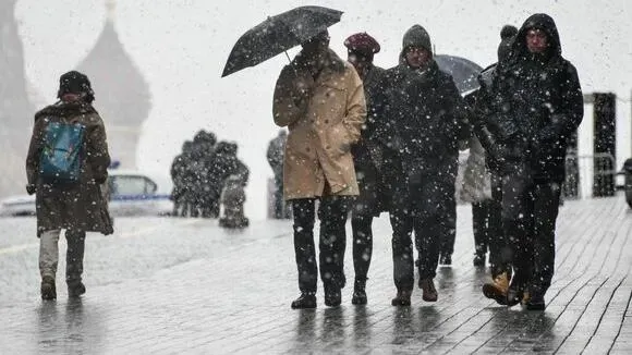 Афиша трансляции Центр города во время снежного апокалипсиса