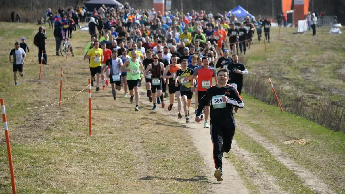 Афиша трансляции Кросс "Лисья гора"