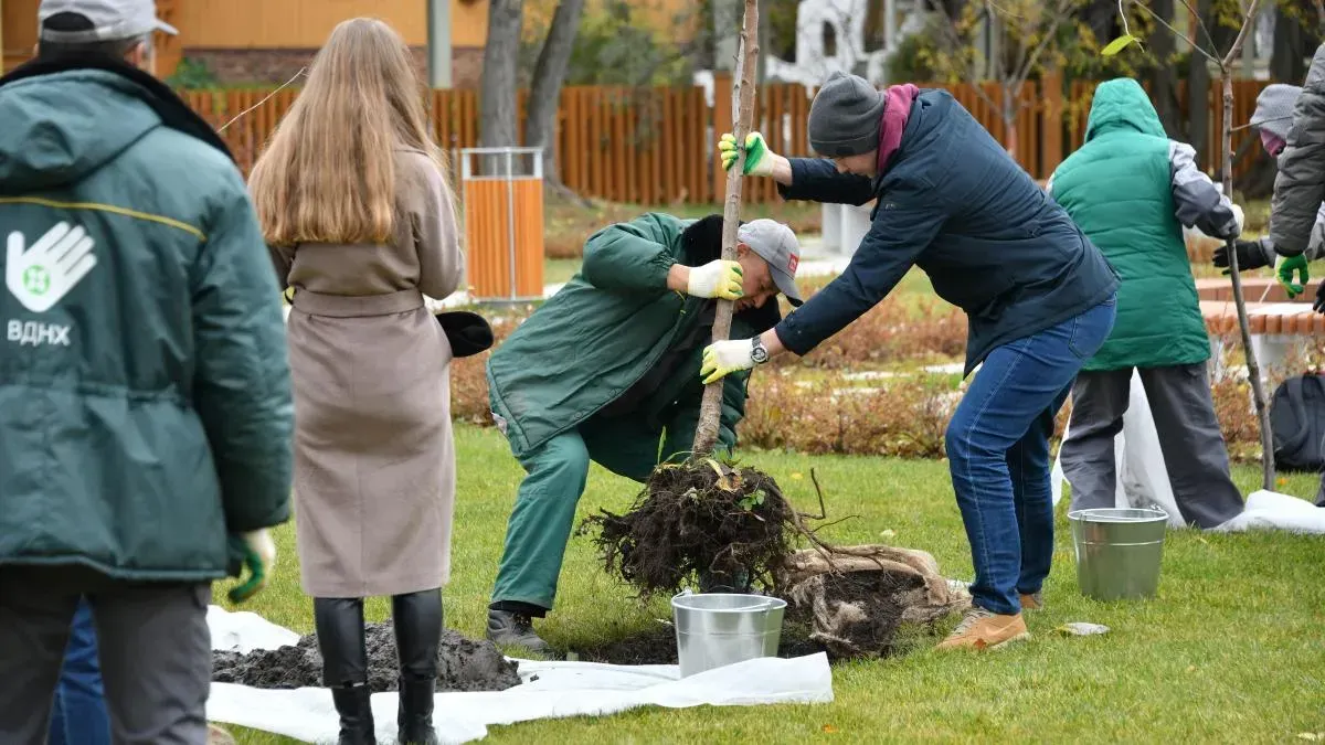 Афиша трансляции Известные люди участвуют в субботнике на ВДНХ