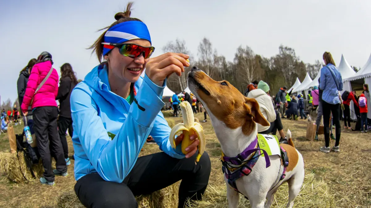 Афиша трансляции Кросс с собаками в Битцевском лесу
