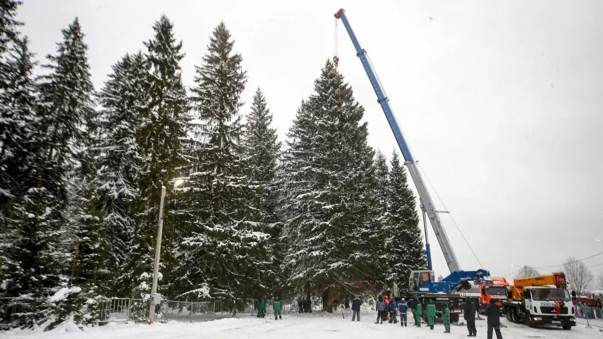 Афиша трансляции Отправка главной новогодней елки из Подмосковья в столицу