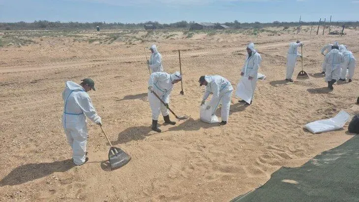 Афиша трансляции Дискуссия об экологической обстановке на побережье Анапы