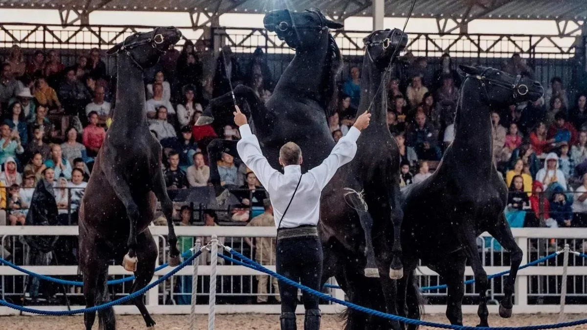Афиша трансляции Конное шоу с воздушными гимнастами и световыми эффектами