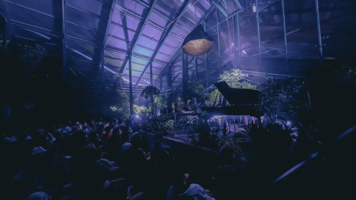 Афиша трансляции Тропический концерт в тайной оранжерее Аптекарского огорода