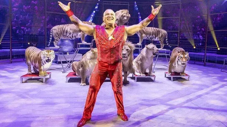 Афиша трансляции Фестиваль циркового искусства "Идол"