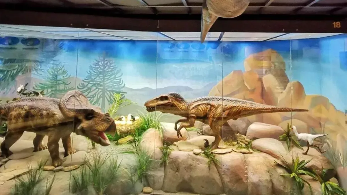 Афиша трансляции Экскурсия по Дарвиновскому музею