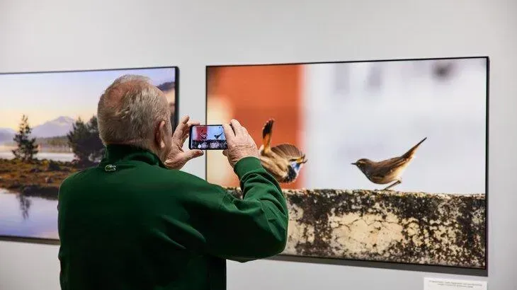 Афиша трансляции Открытие фестиваля "Первозданная Россия"