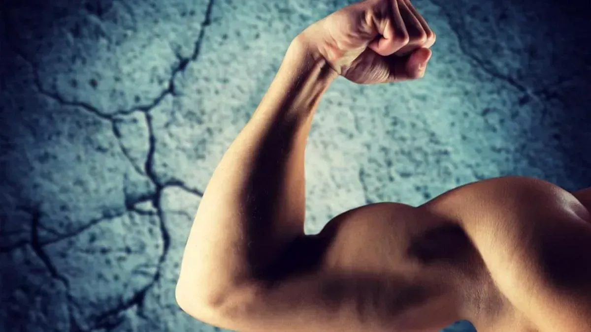 Афиша трансляции Шоу современных русских богатырей