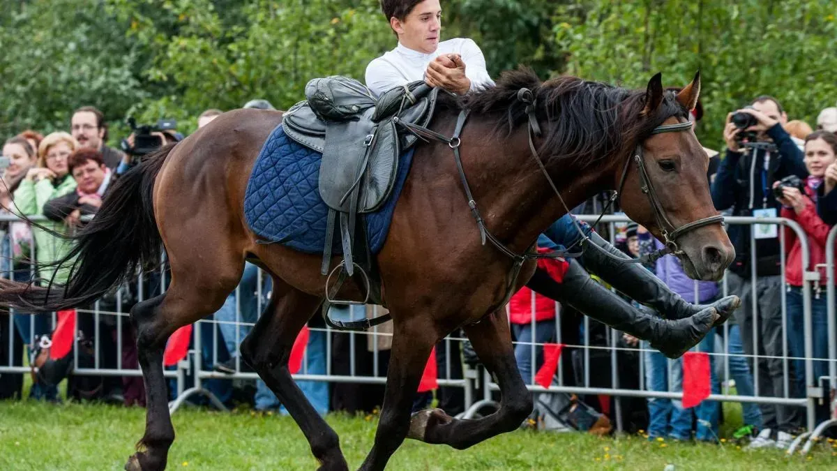 Афиша трансляции Джигитовка и итальянские флагоносцы на "Ивановом поле"