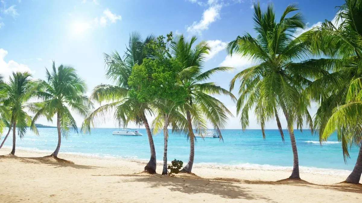 Афиша трансляции Какие сервисы помогут сделать путешествия незабываемыми