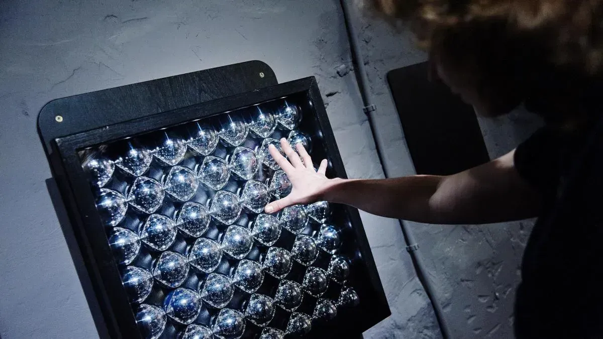 Афиша трансляции Зачем человеку смерть, а палеонтологу – мозг динозавра