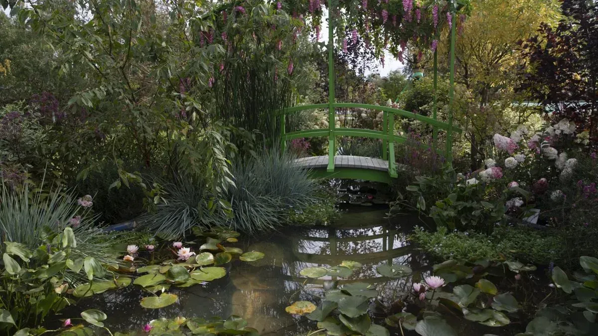 Афиша трансляции Фестиваль исторических садов в "Царицыне"