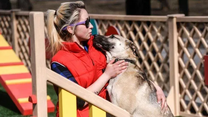 Афиша трансляции Проект "Четвероногий друг. Доброта. Забота. Помощь"