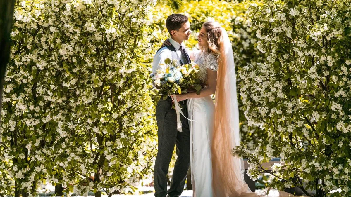 Афиша трансляции Влюбленные посадили первые деревья в "Саду молодоженов"