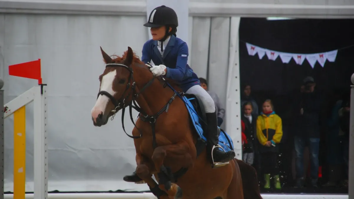 Афиша трансляции Всероссийские соревнования по конкуру среди детей