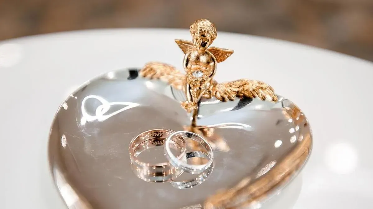 Афиша трансляции Свадебные церемонии на Манежной площади