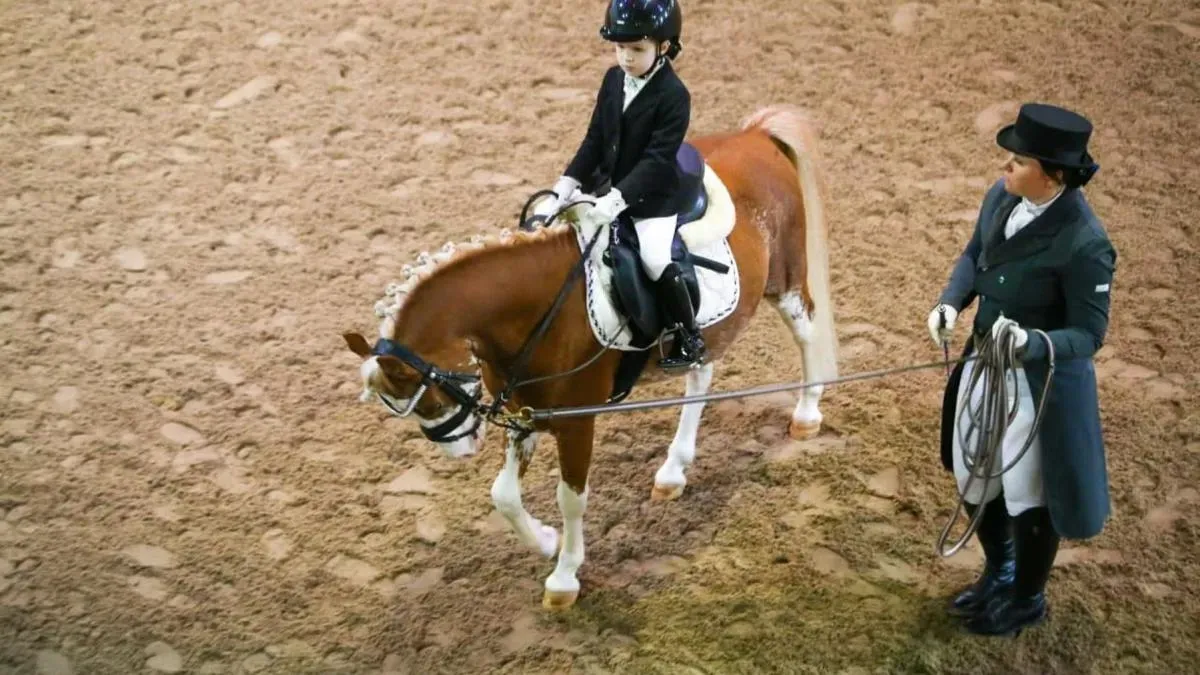Афиша трансляции Всероссийские соревнования по пони-спорту