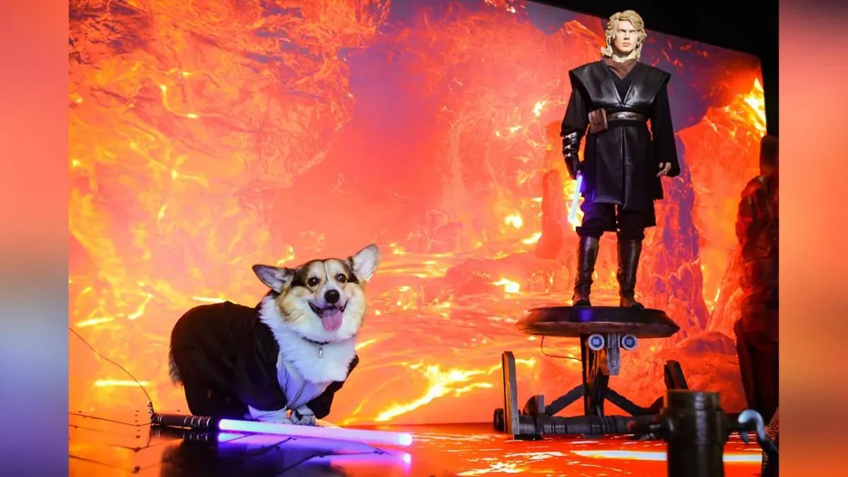 Афиша трансляции Шествие и забег корги-джедаев на ВДНХ