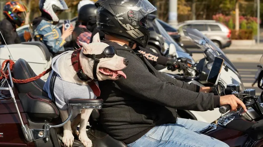 Афиша трансляции Открытие мотосезона в Москве