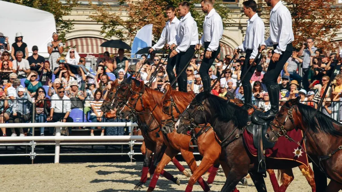Афиша трансляции Выступление Кремлевской школы верховой езды