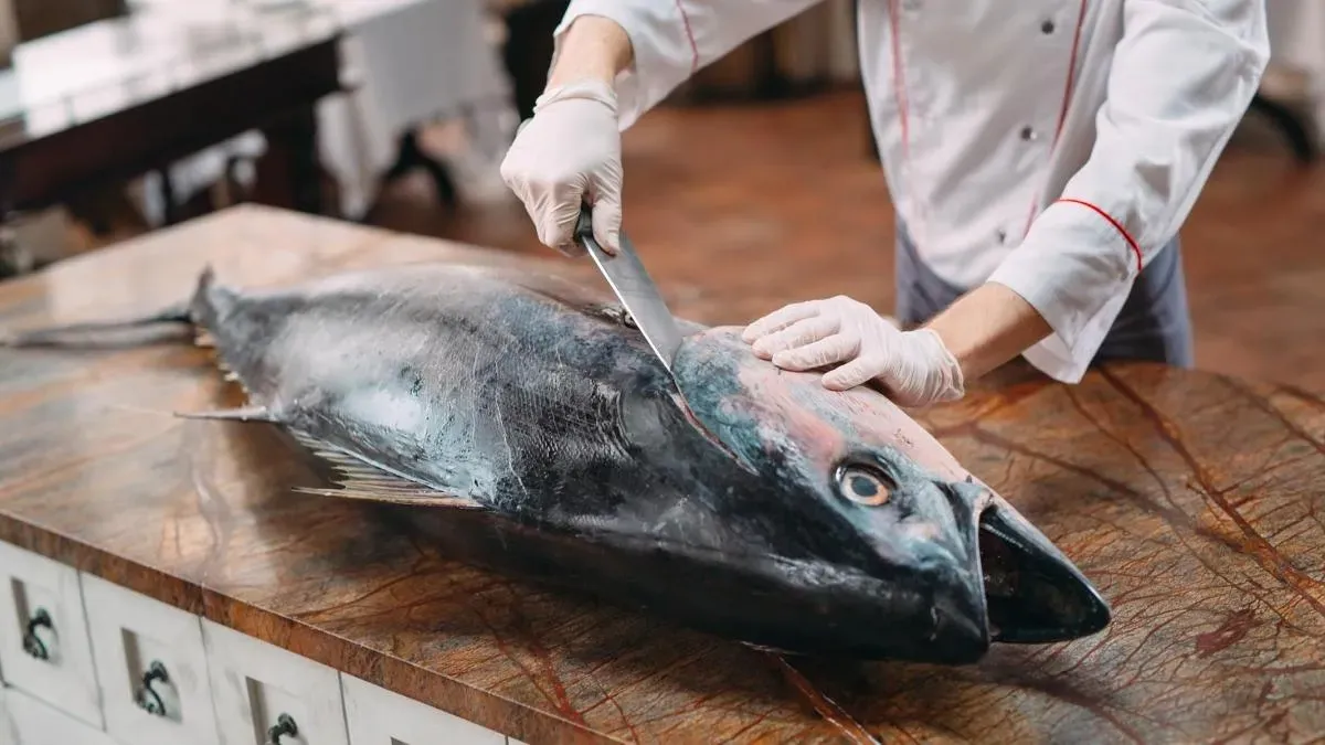 Афиша трансляции Перформанс с тунцом на гастрономическом фестивале