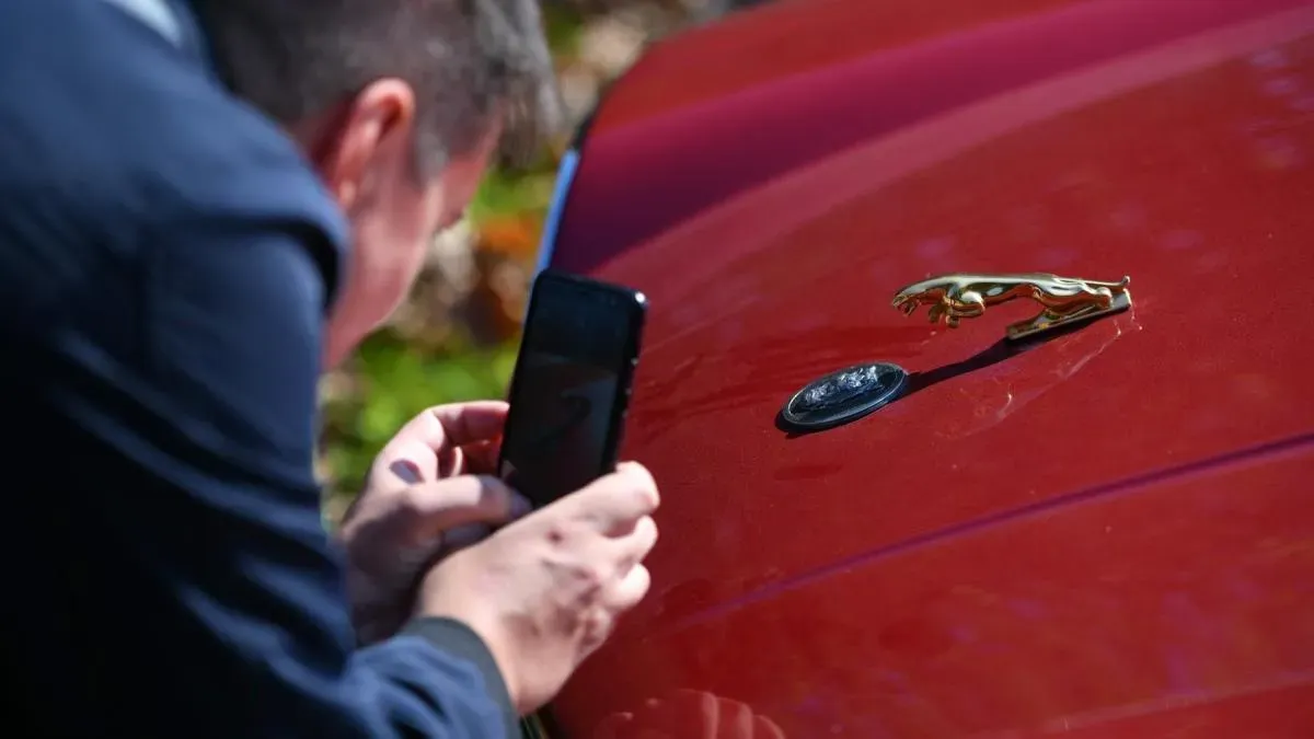 Афиша трансляции Фестиваль "Автокультура" в "Музеоне"