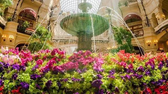 Афиша трансляции Знаменитости открыли фестиваль цветов в ГУМе