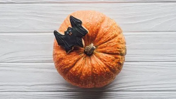 Афиша трансляции Как расписать хеллоуинскую тыкву