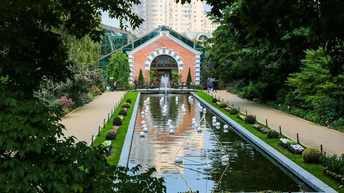 Афиша трансляции Старинные романсы и оперные арии в честь цветения сакуры