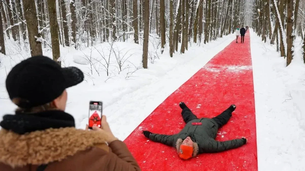 Афиша трансляции Экскурсия по выставке "Белый лес" в парке Малевича