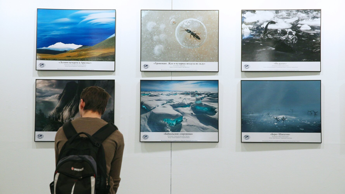 Афиша трансляции Обзор фестиваля природы "Первозданная Россия"