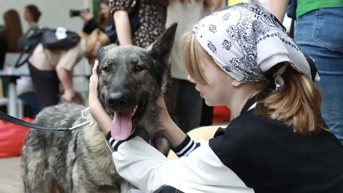 Афиша трансляции Фестиваль "Город неравнодушных"