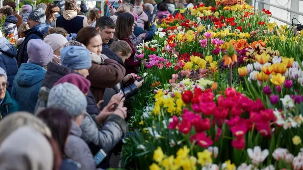 Афиша трансляции Экскурсия по выставке цветов "Репетиция весны"