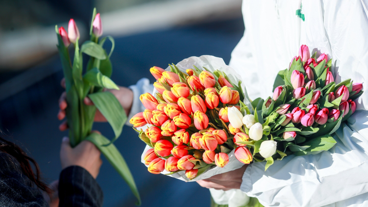 Афиша трансляции Акция "Вам, любимые!" на улицах Москвы
