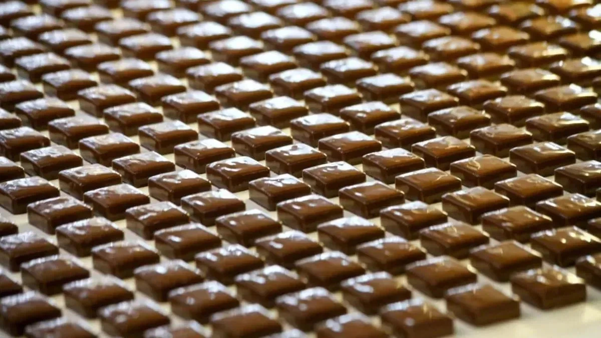 Афиша трансляции Экскурсия на кондитерский концерн "Бабаевский"